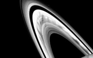 <h1>PIA02274:  Saturn's B-ring</h1><div class="PIA02274" lang="en" style="width:408px;text-align:left;margin:auto;background-color:#000;padding:10px;max-height:150px;overflow:auto;">Prominent dark spokes are visible in the outer half of Saturns broad B-ring in this Voyager 2 photograph taken on Aug. 3, 1981 from a range of about 22 million kilometers (14 million miles). The features appear as filamentary markings about 12,000 kilometers (7,S00 miles) long, which rotate around the planet with the motion of particles in the rings. The nature of these features, discovered by Voyager 1, is not totally understood, but scientists believe the spokes may be caused by dust levitated above the ring plane by electric fields; Voyager 2 photography of the rings edge-on, scheduled for Aug. 25, 1981, will provide an opportunity to test that theory. Because the Sun is now illuminating the rings from a higher angle, Voyager 2's photographs reveal ring structure from a greater distance than that seen by Voyager 1 in its November 1980 encounter. The Voyager project is managed for NASA by the Jet Propulsion Laboratory, Pasadena, Calif.<br /><br /><a href="http://photojournal.jpl.nasa.gov/catalog/PIA02274" onclick="window.open(this.href); return false;" title="Voir l'image 	 PIA02274:  Saturn's B-ring	  sur le site de la NASA">Voir l'image 	 PIA02274:  Saturn's B-ring	  sur le site de la NASA.</a></div>
