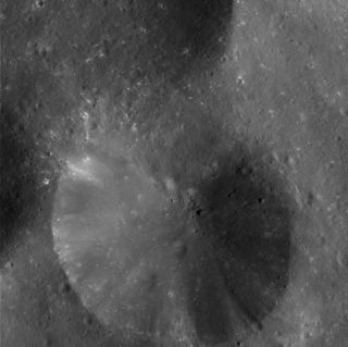<h1>PIA06068:  Crater Close-up on Phoebe</h1><div class="PIA06068" lang="en" style="width:800px;text-align:left;margin:auto;background-color:#000;padding:10px;max-height:150px;overflow:auto;"><p>This eye-popping high-resolution image of Phoebe's pitted surface taken very near closest approach shows a 13-kilometer (8-mile) diameter crater with a debris-covered floor. Part of another crater of similar size is visible at left, as is part of a larger crater at top and many scattered smaller craters. The radial streaks in the crater are due to down slope movements of loose fragments from impact ejecta. Also seen are boulders ranging from about 50 to 300 meters (160 to 990 feet) in diameter. The building-sized rocks may have been excavated by large impacts, perhaps from some other region of Phoebe rather than the craters seen here. There is no visible evidence for layering of ice and dark material or a hardened crust in this region, as on other parts of this moon.</p><p>Some of the relatively bright spots are from small impacts that excavated bright material from beneath the dark surface. Images like this provide information about impact processes on Phoebe.</p><p>This image was obtained at a phase, or Sun-Phoebe-spacecraft, angle of 78 degrees, and from a distance of 11,918 kilometers (7,407 miles). The image scale is approximately 18.5 meters (60.5 feet) per pixel. The illumination is from the right. No enhancement was performed on this image.</p><p>The Cassini-Huygens mission is a cooperative project of NASA, the European Space Agency and the Italian Space Agency. The Jet Propulsion Laboratory, a division of the California Institute of Technology in Pasadena, manages the Cassini-Huygens mission for NASA's Office of Space Science, Washington, D.C. The Cassini orbiter and its two onboard cameras, were designed, developed and assembled at JPL. The imaging team is based at the Space Science Institute, Boulder, Colo.</p><p>For more information, about the Cassini-Huygens mission visit, <a href="http://saturn.jpl.nasa.gov/">http://saturn.jpl.nasa.gov</a> and the Cassini imaging team home page, <a href="http://ciclops.org/">http://ciclops.org</a>.</p><br /><br /><a href="http://photojournal.jpl.nasa.gov/catalog/PIA06068" onclick="window.open(this.href); return false;" title="Voir l'image 	 PIA06068:  Crater Close-up on Phoebe	  sur le site de la NASA">Voir l'image 	 PIA06068:  Crater Close-up on Phoebe	  sur le site de la NASA.</a></div>