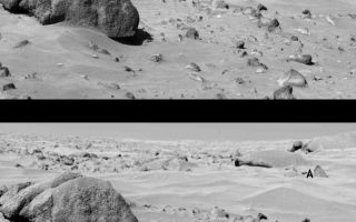 <h1>PIA00532:  Surface Changes in Chryse Planitia</h1><div class="PIA00532" lang="en" style="width:763px;text-align:left;margin:auto;background-color:#000;padding:10px;max-height:150px;overflow:auto;">At the conclusion of the Viking Continuation Mission (May to November, 1978), all four cameras on the Viking Landers - two on each spacecraft - continued to function normally. During the two and one-half years since the landers touched down on Mars, images totaled 2,255 for Viking Lander 1 and 2,016 for Viking Lander 2. The surface around the landers was completely photographed by the end of 1976; subsequent images acquired during 1977-1978 have concentrated on searching for changes in the scene - changes which can be used to infer both the types of erosive processes which modify the landscape around the landers and the rates at which these processes may occur. The major surface changes have included the water-ice snow seen by Lander 2 during the winter at Utopia Planitia, and a thin dust layer deposited at both sites during the dust storms of 1977. The most recently identified change occurred at Chryse Planitia between VL-1 sols 767 (Sept. 16, 1978) and 771 (Sept. 20, 1978) as seen in the lower photo. Picture at top, selected to show similar lighting conditions, was taken during sol 25 (August 15, 1976). The change (A) appears as a small circle-like formation on the side of a drift in the lee, or downwind, side of Whale Rock. This is believed to have been a small-scale landslide of an unstable dust layer which had accumulated behind the rock. Interpretation of this feature would be difficult without an earlier change (B) near Big Joe, a slump which occurred between sols 74 and 183. The new slump is approximately 25- 35 meters from the lander, and just under a meter across. The slumping probably was initiated by the daily heating and cooling of the surface by solar radiation. More importantly, it is now believed that, based on the repeated occurrence of such slumping features, a dust layer which overlies the surface may in fact be redistributed fairly regularly during periods of high wind activity. There are no obvious indications of fossil slump features, therefore similar features must be destroyed on a regular basis. After the end of February, when Viking operations essentially terminate, Lander 1 will continue preselected observations over a period of possibly up to 10 years, following the instructions stored in its computer memory. Earth commands will be required only to initiate data transmission to Earth. During this time, it is now anticipated that one of the yearly planetwide global dust storms may reach an intensity necessary to shift the dust cover around the lander significantly.<br /><br /><a href="http://photojournal.jpl.nasa.gov/catalog/PIA00532" onclick="window.open(this.href); return false;" title="Voir l'image 	 PIA00532:  Surface Changes in Chryse Planitia	  sur le site de la NASA">Voir l'image 	 PIA00532:  Surface Changes in Chryse Planitia	  sur le site de la NASA.</a></div>