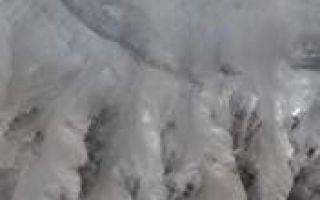 <h1>PIA00814:  Coprates Chasma</h1><div class="PIA00814" lang="en" style="width:176px;text-align:left;margin:auto;background-color:#000;padding:10px;max-height:150px;overflow:auto;">Mars Orbiter Camera (MOC) image of a 10 km by 12 km area of Coprates Chasma (14.7 degrees S, 55.8 degrees W), a ridge with a flat upper surface in the center of Coprates Chasma, which is part of the 6000-km-long Valles Marineris. Rock layers are visible just below the ridge. The gray scale (4.8 m/pixel) MOC image was combined with a Viking Orbiter color view of the same area. The faults of a graben offset beds on the slope to the left.<p>Figure caption from Science Magazine<br /><br /><a href="http://photojournal.jpl.nasa.gov/catalog/PIA00814" onclick="window.open(this.href); return false;" title="Voir l'image 	 PIA00814:  Coprates Chasma	  sur le site de la NASA">Voir l'image 	 PIA00814:  Coprates Chasma	  sur le site de la NASA.</a></div>