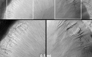 <h1>PIA01042:  Evidence for Recent Liquid Water on Mars: "Dry" Processes on One Slope; "Wet" Processes on Another</h1><div class="PIA01042" lang="en" style="width:800px;text-align:left;margin:auto;background-color:#000;padding:10px;max-height:150px;overflow:auto;"><a href="/figures/moc2_245a.gif"></a><a href="/figures/moc2_245b.gif"></a><p>How can martian gullies--thought to be caused in part by seepage and runoff of liquid water--be distinguished from the more typical, "dry" slope erosion processes that also occur on Mars? For one thing, most--though not all--of the gully landforms occur on slopes that face away from the martian equator and toward the pole. For another, slopes that face toward the equator exhibit the same types of features as seen on nearly every other non-gullied slope on Mars.<p>The example shown here comes from northwestern Elysium Planitia in the martian northern hemisphere. The Mars Global Surveyor (MGS) Mars Orbiter Camera (MOC) high resolution view (A, left) shows a portion of a 10 kilometer-(6.2 mi)-diameter meteor impact crater at a resolution of about 9 meters (29.5 ft) per pixel. The crater is shown in the context image (B, middle). The north-facing (or, pole-ward) slope in the MOC view is shadowed because sunlight illuminates the scene from the lower left. In this shadowed area, a series of martian gullies--defined by their erosional alcoves, deep channels, and apron deposits--are seen. On the sunlit south-facing (or equator-ward) slope, a scene more typical of most martian impact craters is present--the upper slopes show layered bedrock, the lower slopes show light-toned streaks of dry debris that has slid down the slope forming talus deposits that are distinctly different from the lobe-like form of gully aprons. The picture in (C) has been rotated so that the two slopes--one with gullies (right) and one without (left)--can be compared.<p>The crater is located at 36.7°N, 252.3°W. The MOC image was acquired in November 1999 and covers an area 3 km (1.9 mi) wide by 14 km (8.7 mi) long; north is toward the upper right (in A) and it is illuminated by sunlight from the lower left. The Viking 1 orbiter context image (B) was obtained in 1978 and is illuminated from the left; north is up. The MOC image has been rotated in the Explanatory Figure (C) such that north is toward the upper left, illumination is from the lower right.<br /><br /><a href="http://photojournal.jpl.nasa.gov/catalog/PIA01042" onclick="window.open(this.href); return false;" title="Voir l'image 	 PIA01042:  Evidence for Recent Liquid Water on Mars: "Dry" Processes on One Slope; "Wet" Processes on Another	  sur le site de la NASA">Voir l'image 	 PIA01042:  Evidence for Recent Liquid Water on Mars: "Dry" Processes on One Slope; "Wet" Processes on Another	  sur le site de la NASA.</a></div>