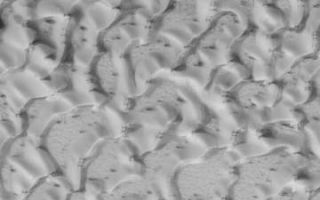 <h1>PIA01045:  Frosted North Polar Sand Dunes in Early Spring</h1><div class="PIA01045" lang="en" style="width:360px;text-align:left;margin:auto;background-color:#000;padding:10px;max-height:150px;overflow:auto;"><p>Another spring has "sprung" in the northern hemisphere of Mars! Northern spring began in June 2000, and as we approach August 2000, sunlight is now illuminating most of the north polar cap each day. This is the second northern spring that MOC has viewed--we've now seen, in selected areas, a full Mars year of atmospheric and surface conditions. Although the pictures do not cover the exact same area, pictures from exactly two Earth years ago (26 July 1998) show very similar features in the north circum-polar dune field (see <a href="/catalog/PIA01331">Spring Time View of North Polar Sand Dunes</a>).<p>At this time, frost left-over from the recent winter is slowly subliming away to expose underlying northern plains and sand dune surfaces. The picture above shows a frost-covered portion of the vast dune fields that surround the north polar cap as they appeared on July 22, 2000. In summer, the dunes are dark, but in winter and early spring they are covered with bright frost. Small dark spots and streaks indicate areas where the frost has begun to disappear. This Mars Global Surveyor Mars Orbiter Camera image covers an area 2.3 km (1.4 mi) wide by 7.7 km (4.8 mi) long near 78°N, 107°W and is illuminated from the lower left.<br /><br /><a href="http://photojournal.jpl.nasa.gov/catalog/PIA01045" onclick="window.open(this.href); return false;" title="Voir l'image 	 PIA01045:  Frosted North Polar Sand Dunes in Early Spring	  sur le site de la NASA">Voir l'image 	 PIA01045:  Frosted North Polar Sand Dunes in Early Spring	  sur le site de la NASA.</a></div>