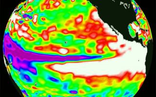 <h1>PIA01085:  TOPEX/El Niño Watch - Warm Water Pool is Increasing, Nov. 10, 1997</h1><div class="PIA01085" lang="en" style="width:800px;text-align:left;margin:auto;background-color:#000;padding:10px;max-height:150px;overflow:auto;"><p>This image of the Pacific Ocean was produced using sea surface height measurements taken by the U.S./French TOPEX/Poseidon satellite. The image shows sea surface height relative to normal ocean conditions on Nov. 10, 1997. The volume of extra warm surface water (shown in white) in the core of the El Niño continues to increase, especially in the area between 15 degrees south latitude and 15 degrees north latitude in the eastern Pacific Ocean. The area of low sea level (shown in purple) has decreased somewhat from late October. The white and red areas indicate unusual patterns of heat storage; in the white areas, the sea surface is between 14 centimeters and 32 cm (6 inches to 13 inches) above normal; in the red areas, it is about 10 centimeters (4 inches) above normal. The surface area covered by the warm water mass is about one-and-one-half times the size of the continental United States. The added amount of oceanic warm water near the Americas, with a temperature between 21 to 30 degrees Celsius (70 to 85 degrees Fahrenheit), is about 30 times the volume of water in all the U.S. Great Lakes combined. The green areas indicate normal conditions, while purple (the western Pacific) means at least 18 centimeters (7 inches) below normal sea level.<p>The El Niño phenomenon is thought to be triggered when the steady westward blowing trade winds weaken and even reverse direction. This change in the winds allows a large mass of warm water (the red and white areas) that is normally located near Australia to move eastward along the equator until it reaches the coast of South America. The displacement of so much warm water affects evaporation, where rain clouds form and, consequently, alters the typical atmospheric jet stream patterns around the world. Using these global data, limited regional measurements from buoys and ships, and a forecasting model of the ocean-atmospheric system, the National Centers for Environmental Prediction (NCEP) of the National Oceanic and Atmospheric Administration (NOAA) has issued an advisory indicating the presence of a strong El Niño condition throughout the winter.<p>For more information, please visit the TOPEX/Poseidon project web page at http://topex-www.jpl.nasa.gov/<br /><br /><a href="http://photojournal.jpl.nasa.gov/catalog/PIA01085" onclick="window.open(this.href); return false;" title="Voir l'image 	 PIA01085:  TOPEX/El Niño Watch - Warm Water Pool is Increasing, Nov. 10, 1997	  sur le site de la NASA">Voir l'image 	 PIA01085:  TOPEX/El Niño Watch - Warm Water Pool is Increasing, Nov. 10, 1997	  sur le site de la NASA.</a></div>