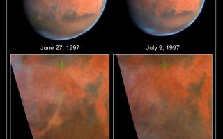 <h1>PIA01244:  Decay of a Martian Dust Storm</h1><div class="PIA01244" lang="en" style="width:800px;text-align:left;margin:auto;background-color:#000;padding:10px;max-height:150px;overflow:auto;"><p>NASA Hubble Space Telescope images of Mars, taken on June 27, 1997 (left) and July 9, 1997 (right), document the dissipation of a large dust storm during the 12 days separating the two observations.<p>The images were taken to monitor the weather conditions near Ares Vallis, the site where NASA's Pathfinder spacecraft landed on July 4. Maps of the equatorial region were constructed from the images and are shown at the bottom of the figure; a green cross marks the Pathfinder landing site. (All images are oriented with North to the top).<p>These two sets of observations show a number of dramatic changes in the planet's atmosphere. At about the 7 o'clock position on the June 27 image, the eastern end of the Valles Marineris canyon system is just coming into daylight and can be seen to be filled with yellowish dust. The dust appears to be confined to the canyons, which can be as much as 8 km deep and hundreds of km wide. Estimates of the quantity of dust involved in this storm indicate that 96% of the incoming sunlight is being blocked from reaching the surface by the dust clouds. Note that on the July 9 image, the dust storm appears to be subsiding; it is estimated that the dust quantity in most of the visible canyon system has dropped to only 10% to 20% of that seen on June 27.<p>However, on July 9 a streamer of dust is visible in the North polar region, extending about 1200 km southward from the dark sand dunes surrounding the polar ice cap; diffuse dust is visible over much of Acidalia, the dark region to the north of the Pathfinder landing site. The extent of clouds visible across the planet has also changed considerably between the two dates. Just to the west (left) of the July 9 dust streamer, a very bright area of water-ice clouds is seen; this area was considerably cloudier on June 27.<p>These images dramatically show that atmospheric conditions can change rapidly on Mars. Observations such as these will continue to be made over the next several months, allowing the detailed surface observations made by Pathfinder to be placed into the broader context of the global images available from HST.<p>This image and other images and data received from the Hubble Space Telescope are posted on the World Wide Web on the Space Telescope Science Institute home page at URL <a href="http://oposite.stsci.edu/" class="external free" target="wpext">http://oposite.stsci.edu/</a>.<br /><br /><a href="http://photojournal.jpl.nasa.gov/catalog/PIA01244" onclick="window.open(this.href); return false;" title="Voir l'image 	 PIA01244:  Decay of a Martian Dust Storm	  sur le site de la NASA">Voir l'image 	 PIA01244:  Decay of a Martian Dust Storm	  sur le site de la NASA.</a></div>