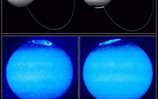 <h1>PIA01257:  Hubble Images Reveal Jupiter's Auroras</h1><div class="PIA01257" lang="en" style="width:800px;text-align:left;margin:auto;background-color:#000;padding:10px;max-height:150px;overflow:auto;"><p>These images, taken by the Hubble Space Telescope, reveal changes in Jupiter's auroral emissions and how small auroral spots just outside the emission rings are linked to the planet's volcanic moon, Io. The images represent the most sensitive and sharply-detailed views ever taken of Jovian auroras.<p>The top panel pinpoints the effects of emissions from Io, which is about the size of Earth's moon. The black-and-white image on the left, taken in visible light, shows how Io and Jupiter are linked by an invisible electrical current of charged particles called a "flux tube." The particles - ejected from Io (the bright spot on Jupiter's right) by volcanic eruptions - flow along Jupiter's magnetic field lines, which thread through Io, to the planet's north and south magnetic poles. This image also shows the belts of clouds surrounding Jupiter as well as the Great Red Spot.<p>The black-and-white image on the right, taken in ultraviolet light about 15 minutes later, shows Jupiter's auroral emissions at the north and south poles. Just outside these emissions are the auroral spots. Called "footprints," the spots are created when the particles in Io's "flux tube" reach Jupiter's upper atmosphere and interact with hydrogen gas, making it fluoresce. In this image, Io is not observable because it is faint in the ultraviolet.<p>The two ultraviolet images at the bottom of the picture show how the auroral emissions change in brightness and structure as Jupiter rotates. These false-color images also reveal how the magnetic field is offset from Jupiter's spin axis by 10 to 15 degrees. In the right image, the north auroral emission is rising over the left limb; the south auroral oval is beginning to set. The image on the left, obtained on a different date, shows a full view of the north aurora, with a strong emission inside the main auroral oval.<p>The images were taken by the telescope's Wide Field and Planetary Camera 2 between May 1994 and September 1995.<p>This image and other images and data received from the Hubble Space Telescope are posted on the World Wide Web on the Space Telescope Science Institute home page at URL <a href="http://oposite.stsci.edu/" class="external free" target="wpext">http://oposite.stsci.edu/</a>.<br /><br /><a href="http://photojournal.jpl.nasa.gov/catalog/PIA01257" onclick="window.open(this.href); return false;" title="Voir l'image 	 PIA01257:  Hubble Images Reveal Jupiter's Auroras	  sur le site de la NASA">Voir l'image 	 PIA01257:  Hubble Images Reveal Jupiter's Auroras	  sur le site de la NASA.</a></div>