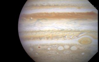 <h1>PIA01262:  Hubble Tracks Jupiter Storms</h1><div class="PIA01262" lang="en" style="width:800px;text-align:left;margin:auto;background-color:#000;padding:10px;max-height:150px;overflow:auto;"><p>NASA's Hubble Space Telescope is following dramatic and rapid changes in Jupiter's turbulent atmosphere that will be critical for targeting observations made by the Galileo space probe when it arrives at the giant planet later this year.<p>This Hubble image provides a detailed look at a unique cluster of three white oval-shaped storms that lie southwest (below and to the left) of Jupiter's Great Red Spot. The appearance of the clouds, as imaged on February 13, 1995 is considerably different from their appearance only seven months earlier. Hubble shows these features moving closer together as the Great Red Spot is carried westward by the prevailing winds while the white ovals are swept eastward. (This change in appearance is not an effect of last July's comet Shoemaker-Levy 9 collisions with Jupiter.)<p>The outer two of the white storms formed in the late 1930s. In the centers of these cloud systems the air is rising, carrying fresh ammonia gas upward. New, white ice crystals form when the upwelling gas freezes as it reaches the chilly cloud top level where temperatures are -200 degrees Fahrenheit (- 130 degrees Centigrade).<p>The intervening white storm center, the ropy structure to the left of the ovals, and the small brown spot have formed in low pressure cells. The white clouds sit above locations where gas is descending to lower, warmer regions. The extent of melting of the white ice exposes varied amounts of Jupiter's ubiquitous brown haze. The stronger the down flow, the less ice, and the browner the region.<p>A scheduled series of Hubble observations will help target regions of interest for detailed scrutiny by the Galileo spacecraft, which will arrive at Jupiter in early December 1995. Hubble will provide a global view of Jupiter while Galileo will obtain close-up images of structure of the clouds that make up the large storm systems such as the Great Red Spot and white ovals that are seen in this picture.<p>This color picture is assembled from a series of images taken by the Wide Field Planetary Camera 2, in planetary camera mode, when Jupiter was at a distance of 519 million miles (961 million kilometers) from Earth. These images are part of a set of data obtained by a Hubble Space Telescope (HST) team headed by Reta Beebe of New Mexico State University.<p>This image and other images and data received from the Hubble Space Telescope are posted on the World Wide Web on the Space Telescope Science Institute home page at URL <a href="http://oposite.stsci.edu/" class="external free" target="wpext">http://oposite.stsci.edu/</a>.<br /><br /><a href="http://photojournal.jpl.nasa.gov/catalog/PIA01262" onclick="window.open(this.href); return false;" title="Voir l'image 	 PIA01262:  Hubble Tracks Jupiter Storms	  sur le site de la NASA">Voir l'image 	 PIA01262:  Hubble Tracks Jupiter Storms	  sur le site de la NASA.</a></div>