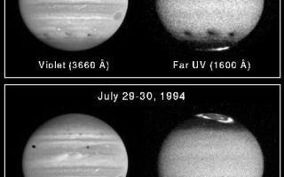 <h1>PIA01266:  Jupiter's Upper Atmospheric Winds Revealed in Ultraviolet Images by Hubble Telescope</h1><div class="PIA01266" lang="en" style="width:600px;text-align:left;margin:auto;background-color:#000;padding:10px;max-height:150px;overflow:auto;"><p>These four NASA Hubble Space Telescope images of Jupiter, as seen in visible (violet) and far-ultraviolet (UV) wavelengths, show the remarkable spreading of the clouds of smoke and dust thrown into the atmosphere after the impacts of the fragments of comet P/Shoemaker-Levy 9. These dark regions provide the only information ever obtained on the wind direction and speed in Jupiter's upper atmosphere.<p>TOP Three impact sites appear as dark smudges lined up along Jupiter's southern hemisphere (from left to right, sites C, A, and E). This pair of images was obtained on 17 July, several hours after the E impact. These 3 impact sites appear strikingly darker in the far-ultraviolet images to the right. This is because the smoke and dust rising from the fireballs absorbs UV light more strongly than violet light, so that the clouds appear both darker and larger in the UV images. Apparently, the fireball and plume threw large amounts of material completely above the atmosphere. This material diffused back down through the atmosphere with the smaller and lighter particles suspended at high altitudes.<p>BOTTOM Hubble's view of the same hemisphere of Jupiter 12-13 days later shows that the smoke and dust have now been spread mainly in the east/west direction by the prevailing winds at the altitude where the dark material is suspended or "floating" in the atmosphere.<p>HST shows that winds in Jupiter's upper atmosphere carry the high altitude smoke and dust in different directions than in the lower atmosphere. For example, the UV image shows a fainter cloud near 45 deg. south latitude, which does not appear in the violet image. The fainter cloud may be due to high altitude material which is drifting with the upper atmospheric winds to the north away from the polar regions. However, in the left-hand impact regions the clouds being observed are lower in the atmosphere where there is apparently no such northerly wind.<p>The violet images show the Great Red Spot, on the eastern (right) limb, one of Jupiter's moons crossing in front of the planet in the northern hemisphere (and its shadow on Jupiter's clouds on the left-hand side in the lower image), and the dark clouds above 3 of the impact sites near 45 deg. south latitude. In addition, Jupiter's polar aurora can also be seen in the far-ultraviolet images near both northern and southern poles.<p>The images were taken with the Wide Field Planetary Camera-2.<p>This image and other images and data received from the Hubble Space Telescope are posted on the World Wide Web on the Space Telescope Science Institute home page at URL <a href="http://oposite.stsci.edu/" class="external free" target="wpext">http://oposite.stsci.edu/</a>.<br /><br /><a href="http://photojournal.jpl.nasa.gov/catalog/PIA01266" onclick="window.open(this.href); return false;" title="Voir l'image 	 PIA01266:  Jupiter's Upper Atmospheric Winds Revealed in Ultraviolet Images by Hubble Telescope	  sur le site de la NASA">Voir l'image 	 PIA01266:  Jupiter's Upper Atmospheric Winds Revealed in Ultraviolet Images by Hubble Telescope	  sur le site de la NASA.</a></div>