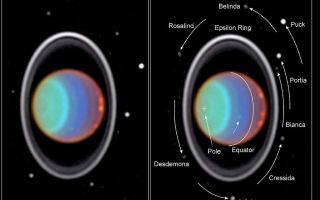 <h1>PIA01278:  Hubble Tracks Clouds on Uranus</h1><div class="PIA01278" lang="en" style="width:800px;text-align:left;margin:auto;background-color:#000;padding:10px;max-height:150px;overflow:auto;"><p>Taking its first peek at Uranus, NASA Hubble Space Telescope's Near Infrared Camera and Multi-Object Spectrometer (NICMOS) has detected six distinct clouds in images taken July 28,1997.<p>The image on the right, taken 90 minutes after the left-hand image, shows the planet's rotation. Each image is a composite of three near-infrared images. They are called false-color images because the human eye cannot detect infrared light. Therefore, colors corresponding to visible light were assigned to the images. (The wavelengths for the "blue," "green," and "red" exposures are 1.1, 1.6, and 1.9 micrometers, respectively.)<p>At visible and near-infrared light, sunlight is reflected from hazes and clouds in the atmosphere of Uranus. However, at near-infrared light, absorption by gases in the Uranian atmosphere limits the view to different altitudes, causing intense contrasts and colors.<p>In these images, the blue exposure probes the deepest atmospheric levels. A blue color indicates clear atmospheric conditions, prevalent at mid-latitudes near the center of the disk. The green exposure is sensitive to absorption by methane gas, indicating a clear atmosphere; but in hazy atmospheric regions, the green color is seen because sunlight is reflected back before it is absorbed. The green color around the south pole (marked by "+") shows a strong local haze. The red exposure reveals absorption by hydrogen, the most abundant gas in the atmosphere of Uranus. Most sunlight shows patches of haze high in the atmosphere. A red color near the limb (edge) of the disk indicates the presence of a high-altitude haze. The purple color to the right of the equator also suggests haze high in the atmosphere with a clear atmosphere below.<p>The five clouds visible near the right limb rotated counterclockwise during the time between both images. They reach high into the atmosphere, as indicated by their red color. Features of such high contrast have never been seen before on Uranus. The clouds are almost as large as continents on Earth, such as Europe. Another cloud (which barely can be seen) rotated along the path shown by the black arrow. It is located at lower altitudes, as indicated by its green color.<p>The rings of Uranus are extremely faint in visible light but quite prominent in the near infrared. The brightest ring, the epsilon ring, has a variable width around its circumference. Its widest and thus brightest part is at the top in this image. Two fainter, inner rings are visible next to the epsilon ring.<p>Eight of the 10 small Uranian satellites, discovered by Voyager 2, can be seen in both images. Their sizes range from about 25 miles (40 kilometers) for Bianca to 100 miles (150 kilometers) for Puck. The smallest of these satellites have not been detected since the departure of Voyager 2 from Uranus in 1986. These eight satellites revolve around Uranus in less than a day. The inner ones are faster than the outer ones. Their motion in the 90 minutes between both images is marked in the right panel. The area outside the rings was slightly enhanced in brightness to improve the visibility of these faint satellites.<p>The Wide Field/Planetary Camera 2 was developed by the Jet Propulsion Laboratory and managed by the Goddard Space Flight Center for NASA's Office of Space Science.<p>This image and other images and data received from the Hubble Space Telescope are posted on the World Wide Web on the Space Telescope Science Institute home page at URL <a href="http://oposite.stsci.edu/" class="external free" target="wpext">http://oposite.stsci.edu/</a>.<br /><br /><a href="http://photojournal.jpl.nasa.gov/catalog/PIA01278" onclick="window.open(this.href); return false;" title="Voir l'image 	 PIA01278:  Hubble Tracks Clouds on Uranus	  sur le site de la NASA">Voir l'image 	 PIA01278:  Hubble Tracks Clouds on Uranus	  sur le site de la NASA.</a></div>