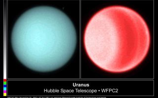 <h1>PIA01279:  Hubble Spots Northern Hemispheric Clouds on Uranus</h1><div class="PIA01279" lang="en" style="width:800px;text-align:left;margin:auto;background-color:#000;padding:10px;max-height:150px;overflow:auto;"><p>Using visible light, astronomers for the first time this century have detected clouds in the northern hemisphere of Uranus. The newest images, taken July 31 and Aug. 1, 1997 with NASA Hubble Space Telescope's Wide Field and Planetary Camera 2, show banded structure and multiple clouds. Using these images, Dr. Heidi Hammel (Massachusetts Institute of Technology) and colleagues Wes Lockwood (Lowell Observatory) and Kathy Rages (NASA Ames Research Center) plan to measure the wind speeds in the northern hemisphere for the first time.<p>Uranus is sometimes called the "sideways" planet, because its rotation axis tipped more than 90 degrees from the planet's orbit around the Sun. The "year" on Uranus lasts 84 Earth years, which creates extremely long seasons - winter in the northern hemisphere has lasted for nearly 20 years. Uranus has also been called bland and boring, because no clouds have been detectable in ground-based images of the planet. Even to the cameras of the Voyager spacecraft in 1986, Uranus presented a nearly uniform blank disk, and discrete clouds were detectable only in the southern hemisphere. Voyager flew over the planet's cloud tops near the dead of northern winter (when the northern hemisphere was completely shrouded in darkness).<p>Spring has finally come to the northern hemisphere of Uranus. The newest images, both the visible-wavelength ones described here and those taken a few days earlier with the Near Infrared and Multi-Object Spectrometer (NICMOS) by Erich Karkoschka (University of Arizona), show a planet with banded structure and detectable clouds.<p>Two images are shown here. The "aqua" image (on the left) is taken at 5,470 Angstroms, which is near the human eye's peak response to wavelength. Color has been added to the image to show what a person on a spacecraft near Uranus might see. Little structure is evident at this wavelength, though with image-processing techniques, a small cloud can be seen near the planet's northern limb (rightmost edge). The "red" image (on the right) is taken at 6,190 Angstroms, and is sensitive to absorption by methane molecules in the planet's atmosphere. The banded structure of Uranus is evident, and the small cloud near the northern limb is now visible.<p>Scientists are expecting that the discrete clouds and banded structure may become even more pronounced as Uranus continues in its slow pace around the Sun. "Some parts of Uranus haven't seen the Sun in decades," says Dr. Hammel, "and historical records suggest that we may see the development of more banded structure and patchy clouds as the planet's year progresses."<p>Some scientists have speculated that the winds of Uranus are not symmetric around the planet's equator, but no clouds were visible to test those theories. The new data will provide the opportunity to measure the northern winds. Hammel and colleagues expect to have results soon.<p>The Wide Field/Planetary Camera 2 was developed by the Jet Propulsion Laboratory and managed by the Goddard Space Flight Center for NASA's Office of Space Science.<p>This image and other images and data received from the Hubble Space Telescope are posted on the World Wide Web on the Space Telescope Science Institute home page at URL <a href="http://oposite.stsci.edu/" class="external free" target="wpext">http://oposite.stsci.edu/</a>.<br /><br /><a href="http://photojournal.jpl.nasa.gov/catalog/PIA01279" onclick="window.open(this.href); return false;" title="Voir l'image 	 PIA01279:  Hubble Spots Northern Hemispheric Clouds on Uranus	  sur le site de la NASA">Voir l'image 	 PIA01279:  Hubble Spots Northern Hemispheric Clouds on Uranus	  sur le site de la NASA.</a></div>