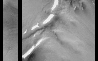 <h1>PIA01688:  Patches of Remnant Frost/Snow on Crater Rim in Northern Summer</h1><div class="PIA01688" lang="en" style="width:800px;text-align:left;margin:auto;background-color:#000;padding:10px;max-height:150px;overflow:auto;"><p>March 1999--it is summer in the martian northern hemisphere, yet patches of frost or snow persist in some areas of the northern plains. Winter ended eight months earlier, in July 1998. Recently, the Mars Orbiter Camera (MOC) passed over a relatively small impact crater located at latitude 68°N (on the Vastitas Borealis plain, north of Utopia Planitia) and took the picture seen at the left, above. The curved crater rims are visible in the upper and lower quarters of the image, and the crater floor is visible at the center right.</p><p>The picture on the right is a magnified view of the crater rim area outlined by a white box in the image on the left. The bright patches are snow or frost left over from the martian winter. These snowfields are so small that a human could walk across one of them in a matter of minutes--or perhaps sled down the small, sloping patch that is seen in a shadowed area near the lower left.</p><p>In winter, the entire scene shown here would be covered by frost. The long strip at the left covers an area 3 km (1.9 mi) wide by 26 km (16 mi) long. The expanded view on the right covers an area 2.9 km (1.8 mi) by 5.3 km (3.3 mi). Illumination is from the upper right.</p><p>Malin Space Science Systems and the California Institute of Technology built the MOC using spare hardware from the Mars Observer mission. MSSS operates the camera from its facilities in San Diego, CA. The Jet Propulsion Laboratory's Mars Surveyor Operations Project operates the Mars Global Surveyor spacecraft with its industrial partner, Lockheed Martin Astronautics, from facilities in Pasadena, CA and Denver, CO.</p><br /><br /><a href="http://photojournal.jpl.nasa.gov/catalog/PIA01688" onclick="window.open(this.href); return false;" title="Voir l'image 	 PIA01688:  Patches of Remnant Frost/Snow on Crater Rim in Northern Summer	  sur le site de la NASA">Voir l'image 	 PIA01688:  Patches of Remnant Frost/Snow on Crater Rim in Northern Summer	  sur le site de la NASA.</a></div>