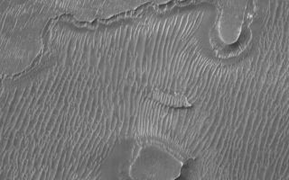 <h1>PIA01691:  Melas Chasma Floor</h1><div class="PIA01691" lang="en" style="width:800px;text-align:left;margin:auto;background-color:#000;padding:10px;max-height:150px;overflow:auto;"><p>The Mars Global Surveyor (MGS) Mars Orbiter Camera (MOC) continues to provide a stunning array of images that show the red planet to have a very diverse collection of surface textures and properties. This picture shows a 3 kilometers (1.9 miles) by 4.4 kilometers (2.7 miles) portion of the floor of Melas Chasma. Dark sand dunes spaced 55to 60 meters (~190 feet) apart dominate the floor of this portion of the Valles Marineris canyon system. Smaller ripples are also visible in the troughs between some of the dunes, perhaps indicating a modern, dynamic eolian (i.e., wind-swept) environment. Illumination is from the upper left.</p><p>Malin Space Science Systems and the California Institute of Technology built the MOC using spare hardware from the Mars Observer mission. MSSS operates the camera from its facilities in San Diego, CA. The Jet Propulsion Laboratory's Mars Surveyor Operations Project operates the Mars Global Surveyor spacecraft with its industrial partner, Lockheed Martin Astronautics, from facilities in Pasadena, CA and Denver, CO.</p><br /><br /><a href="http://photojournal.jpl.nasa.gov/catalog/PIA01691" onclick="window.open(this.href); return false;" title="Voir l'image 	 PIA01691:  Melas Chasma Floor	  sur le site de la NASA">Voir l'image 	 PIA01691:  Melas Chasma Floor	  sur le site de la NASA.</a></div>