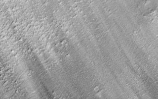 <h1>PIA01698:  Pedestal Craters and Wind Streaks, South Medusae Fossae</h1><div class="PIA01698" lang="en" style="width:540px;text-align:left;margin:auto;background-color:#000;padding:10px;max-height:150px;overflow:auto;"><p>Mars is a desert planet in which wind has a considerable effect on the landscape. Bright and dark wind streaks in this image indicate past movement of fine sediment across the landscape from upper left toward lower right. Two impact craters that look like flowers or starfish are seen in the lower portion of the image. The ejecta deposits of these craters are raised above the surrounding terrain, and indicate that wind has deflated a layer of material (that is, blown it away, thus lowering the surface) that was present at the time that the craters formed. The craters were formed by impacts of meteorites into the earlier, higher surface, and the rocks and gravel thrown out when they formed protected some of this former layer from the wind's effects. This picture--showing part of the Medusae Fossae region near the martian equator--was taken in early April 1999 and covers an area only 1 kilometer (0.62 miles)wide. Illumination is from the lower right.</p><p>Malin Space Science Systems and the California Institute of Technology built the MOC using spare hardware from the Mars Observer mission. MSSS operates the camera from its facilities in San Diego, CA. The Jet Propulsion Laboratory's Mars Surveyor Operations Project operates the Mars Global Surveyor spacecraft with its industrial partner, Lockheed Martin Astronautics, from facilities in Pasadena, CA and Denver, CO.</p><br /><br /><a href="http://photojournal.jpl.nasa.gov/catalog/PIA01698" onclick="window.open(this.href); return false;" title="Voir l'image 	 PIA01698:  Pedestal Craters and Wind Streaks, South Medusae Fossae	  sur le site de la NASA">Voir l'image 	 PIA01698:  Pedestal Craters and Wind Streaks, South Medusae Fossae	  sur le site de la NASA.</a></div>
