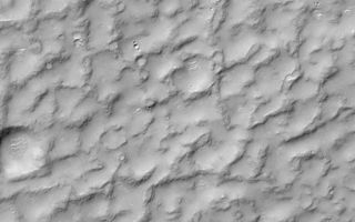 <h1>PIA01699:  A Complex, Ridged Terrain in North Terra Cimmeria</h1><div class="PIA01699" lang="en" style="width:800px;text-align:left;margin:auto;background-color:#000;padding:10px;max-height:150px;overflow:auto;"><p>Mars Global Surveyor's Mars Orbiter Camera continues to reveal a surface of variety. Never before has Mars been scrutinized in such detail, with images sampling narrow strips of terrain that are as varied as the surface of our own Earth. This picture provides an example of just how strange Mars looks at this new resolution. This surface--located in northern Terra Cimmeria about 210 km (130 mi)southwest of Gusev Crater--shows rounded, rocky ridges separated by lowlands filled with sand or dust. The fill--whether sand or dust--is probably hardened to form a surface strong enough to have bright windblown ripples and small impact craters on it. This picture covers an area 3 km (1.9 mi) wide by 3.9 km (2.4 mi) and is illuminated from the upper left.</p><p>By the way, do you see a duck in this picture? Look carefully. If you give up, <a href="http://www.msss.com/mars/global_surveyor/camera/images/4_8_99_bumpy/quack.html">click here!</a></p><p>Malin Space Science Systems and the California Institute of Technology built the MOC using spare hardware from the Mars Observer mission. MSSS operates the camera from its facilities in San Diego, CA. The Jet Propulsion Laboratory's Mars Surveyor Operations Project operates the Mars Global Surveyor spacecraft with its industrial partner, Lockheed Martin Astronautics, from facilities in Pasadena, CA and Denver, CO.</p><br /><br /><a href="http://photojournal.jpl.nasa.gov/catalog/PIA01699" onclick="window.open(this.href); return false;" title="Voir l'image 	 PIA01699:  A Complex, Ridged Terrain in North Terra Cimmeria	  sur le site de la NASA">Voir l'image 	 PIA01699:  A Complex, Ridged Terrain in North Terra Cimmeria	  sur le site de la NASA.</a></div>