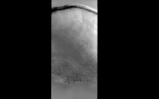 <h1>PIA01867:  Polar Dunes</h1><div class="PIA01867" lang="en" style="width:800px;text-align:left;margin:auto;background-color:#000;padding:10px;max-height:150px;overflow:auto;"><p><a href="/figures/PIA01867_fig1.jpg"></a><br><b>Context image for PIA01867<br />Polar Dunes</b></p><p>This field of sand dunes occurs within Chasma Borealis.<p>Image information: VIS instrument. Latitude 84.7N, Longitude 0.4E. 20 meter/pixel resolution.</p><p>Please see the <a href="http://themis.asu.edu/terms" target="_blank">THEMIS Data Citation Note</a> for details on crediting THEMIS images.</p><p>Note: this THEMIS visual image has not been radiometrically nor geometrically calibrated for this preliminary release. An empirical correction has been performed to remove instrumental effects. A linear shift has been applied in the cross-track and down-track direction to approximate spacecraft and planetary motion. Fully calibrated and geometrically projected images will be released through the Planetary Data System in accordance with Project policies at a later time.</p><p>NASA's Jet Propulsion Laboratory manages the 2001 Mars Odyssey mission for NASA's Office of Space Science, Washington, D.C. The Thermal Emission Imaging System (THEMIS) was developed by Arizona State University, Tempe, in collaboration with Raytheon Santa Barbara Remote Sensing. The THEMIS investigation is led by Dr. Philip Christensen at Arizona State University. Lockheed Martin Astronautics, Denver, is the prime contractor for the Odyssey project, and developed and built the orbiter. Mission operations are conducted jointly from Lockheed Martin and from JPL, a division of the California Institute of Technology in Pasadena.</p><br /><br /><a href="http://photojournal.jpl.nasa.gov/catalog/PIA01867" onclick="window.open(this.href); return false;" title="Voir l'image 	 PIA01867:  Polar Dunes	  sur le site de la NASA">Voir l'image 	 PIA01867:  Polar Dunes	  sur le site de la NASA.</a></div>