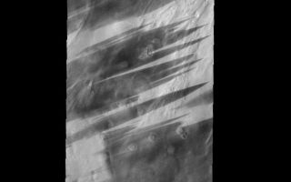 <h1>PIA01870:  Bright and Dark</h1><div class="PIA01870" lang="en" style="width:800px;text-align:left;margin:auto;background-color:#000;padding:10px;max-height:150px;overflow:auto;"><p><a href="/figures/PIA01870_fig1.jpg"></a><br><b>Context image for PIA01870<br />Bright and Dark</b></p><p>These bright and dark windstreaks are located in the plains surrounding the north polar cap.<p>Image information: VIS instrument. Latitude 72.1N, Longitude 35.2E. 20 meter/pixel resolution.</p><p>Please see the <a href="http://themis.asu.edu/terms" target="_blank">THEMIS Data Citation Note</a> for details on crediting THEMIS images.</p><p>Note: this THEMIS visual image has not been radiometrically nor geometrically calibrated for this preliminary release. An empirical correction has been performed to remove instrumental effects. A linear shift has been applied in the cross-track and down-track direction to approximate spacecraft and planetary motion. Fully calibrated and geometrically projected images will be released through the Planetary Data System in accordance with Project policies at a later time.</p><p>NASA's Jet Propulsion Laboratory manages the 2001 Mars Odyssey mission for NASA's Office of Space Science, Washington, D.C. The Thermal Emission Imaging System (THEMIS) was developed by Arizona State University, Tempe, in collaboration with Raytheon Santa Barbara Remote Sensing. The THEMIS investigation is led by Dr. Philip Christensen at Arizona State University. Lockheed Martin Astronautics, Denver, is the prime contractor for the Odyssey project, and developed and built the orbiter. Mission operations are conducted jointly from Lockheed Martin and from JPL, a division of the California Institute of Technology in Pasadena.</p><br /><br /><a href="http://photojournal.jpl.nasa.gov/catalog/PIA01870" onclick="window.open(this.href); return false;" title="Voir l'image 	 PIA01870:  Bright and Dark	  sur le site de la NASA">Voir l'image 	 PIA01870:  Bright and Dark	  sur le site de la NASA.</a></div>