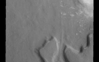 <h1>PIA01876:  Polar Dunes</h1><div class="PIA01876" lang="en" style="width:522px;text-align:left;margin:auto;background-color:#000;padding:10px;max-height:150px;overflow:auto;"><p><a href="/figures/PIA01876_fig1.jpg"></a><br><b>Context image for PIA01876<br />Polar Dunes</b></p><p>The dark sand dunes in this image are only a very small portion of the sand sea that surrounds the north polar cap of Mars.<p>Image information: VIS instrument. Latitude 80.7N, Longitude 311.5E. 20 meter/pixel resolution.</p><p>Please see the <a href="http://themis.asu.edu/terms" target="_blank">THEMIS Data Citation Note</a> for details on crediting THEMIS images.</p><p>Note: this THEMIS visual image has not been radiometrically nor geometrically calibrated for this preliminary release. An empirical correction has been performed to remove instrumental effects. A linear shift has been applied in the cross-track and down-track direction to approximate spacecraft and planetary motion. Fully calibrated and geometrically projected images will be released through the Planetary Data System in accordance with Project policies at a later time.</p><p>NASA's Jet Propulsion Laboratory manages the 2001 Mars Odyssey mission for NASA's Office of Space Science, Washington, D.C. The Thermal Emission Imaging System (THEMIS) was developed by Arizona State University, Tempe, in collaboration with Raytheon Santa Barbara Remote Sensing. The THEMIS investigation is led by Dr. Philip Christensen at Arizona State University. Lockheed Martin Astronautics, Denver, is the prime contractor for the Odyssey project, and developed and built the orbiter. Mission operations are conducted jointly from Lockheed Martin and from JPL, a division of the California Institute of Technology in Pasadena.</p><br /><br /><a href="http://photojournal.jpl.nasa.gov/catalog/PIA01876" onclick="window.open(this.href); return false;" title="Voir l'image 	 PIA01876:  Polar Dunes	  sur le site de la NASA">Voir l'image 	 PIA01876:  Polar Dunes	  sur le site de la NASA.</a></div>