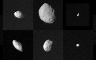 <h1>PIA01954:  Collage of Saturn's smaller satellites</h1><div class="PIA01954" lang="en" style="width:750px;text-align:left;margin:auto;background-color:#000;padding:10px;max-height:150px;overflow:auto;">This family portrait shows the smaller satellites of Saturn as viewed by Voyager 2 during its swing through the Saturnian system. The following chart corresponds to this composite photograph (distance from the planet increases from left to right) and lists names, standard numerical designations and approximate dimensions (radii where indicated) in kilometers:<p>  1980S26<p>Outer F-ring<p>shepherd<p>120 X 100  1980S1<p>Leading<p>co-orbital<p>220 X 160 1980S25<p>Trailing<p>Tethys trojan<p>radii: 25 1980S28<p>Outer A<p>shepherd<p>radii: 20 1980S27<p>Inner F-ring<p>co-orbital<p>145 X 70 1980S3<p>Trailing<p>Tethys trojan<p>140 X 100 1980S13<p>Leading<p>Tethys trojan<p>radii: 30 1980S6<p>Leading<p>Dione trojan<p>radii: 30 These images have been scaled to show the satellites in true relative sizes. This set of small objects ranges in size from small asteroidal scales to nearly the size of Saturn's moon Mimas. They are probably fragments of somewhat larger bodies broken up during the bombardment period that followed accretion of the Saturnian system. Scientists believe they may be mostly icy bodies with a mixture of meteorite rock. They are somewhat less reflective than the larger satellites, suggesting that thermal evolution of the larger moons "cleaned up" their icy surfaces. The Voyager project is managed for NASA by the Jet Propulsion Laboratory, Pasadena, Calif.<br /><br /><a href="http://photojournal.jpl.nasa.gov/catalog/PIA01954" onclick="window.open(this.href); return false;" title="Voir l'image 	 PIA01954:  Collage of Saturn's smaller satellites	  sur le site de la NASA">Voir l'image 	 PIA01954:  Collage of Saturn's smaller satellites	  sur le site de la NASA.</a></div>