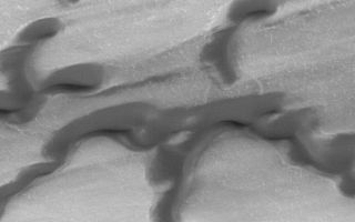 <h1>PIA02001:  Polar Dunes In Summer Exhibit Frost Patches, Wind Streaks</h1><div class="PIA02001" lang="en" style="width:800px;text-align:left;margin:auto;background-color:#000;padding:10px;max-height:150px;overflow:auto;"><p>Mars Global Surveyor passes over the north polar region of the red planet twelve times each day, offering many opportunities to observe how the polar cap frosts and dunes are changing as the days goby. Right now it is summer in the north. This picture, taken the second week of April 1999, shows darks and dunes and remnant patches of bright frost left over from the winter that ended in July 1998. Dark streaks indicate recent movement of sand. The picture covers an area only 1.4 kilometers (0.9 miles) across and is illuminated from the upper right.</p><p>Malin Space Science Systems and the California Institute of Technology built the MOC using spare hardware from the Mars Observer mission. MSSS operates the camera from its facilities in San Diego, CA. The Jet Propulsion Laboratory's Mars Surveyor Operations Project operates the Mars Global Surveyor spacecraft with its industrial partner, Lockheed Martin Astronautics, from facilities in Pasadena, CA and Denver, CO.<br /><br /><a href="http://photojournal.jpl.nasa.gov/catalog/PIA02001" onclick="window.open(this.href); return false;" title="Voir l'image 	 PIA02001:  Polar Dunes In Summer Exhibit Frost Patches, Wind Streaks	  sur le site de la NASA">Voir l'image 	 PIA02001:  Polar Dunes In Summer Exhibit Frost Patches, Wind Streaks	  sur le site de la NASA.</a></div>