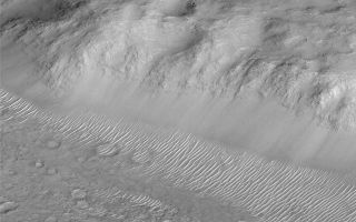 <h1>PIA02002:  Layers of Cratered Highland Bedrock Exposed in Amenthes Slope</h1><div class="PIA02002" lang="en" style="width:800px;text-align:left;margin:auto;background-color:#000;padding:10px;max-height:150px;overflow:auto;"><p>One of the highlights of the Mars Global Surveyor Mars Orbiter Camera project thus far has been the realization that much of the upper crust--i.e., the bedrock--is layered. This dramatic view of a slope in the Amenthes Rupes region near the martian equator shows layered bedrock, smooth-surfaced debris at the slope base, and many small ripple-like dunes. The picture was taken during the second week of April 1999 and covers an area 3 kilometers (1.9 miles) wide. Illumination is from the lower right.</p><p>Malin Space Science Systems and the California Institute of Technology built the MOC using spare hardware from the Mars Observer mission. MSSS operates the camera from its facilities in San Diego, CA. The Jet Propulsion Laboratory's Mars Surveyor Operations Project operates the Mars Global Surveyor spacecraft with its industrial partner, Lockheed Martin Astronautics, from facilities in Pasadena, CA and Denver, CO.</p><br /><br /><a href="http://photojournal.jpl.nasa.gov/catalog/PIA02002" onclick="window.open(this.href); return false;" title="Voir l'image 	 PIA02002:  Layers of Cratered Highland Bedrock Exposed in Amenthes Slope	  sur le site de la NASA">Voir l'image 	 PIA02002:  Layers of Cratered Highland Bedrock Exposed in Amenthes Slope	  sur le site de la NASA.</a></div>