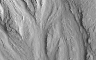 <h1>PIA02076:  Hrad Vallis</h1><div class="PIA02076" lang="en" style="width:614px;text-align:left;margin:auto;background-color:#000;padding:10px;max-height:150px;overflow:auto;"><p>Image shows a fluid-scoured surface in the Hrad Vallis system, located northwest of Elysium Mons. The fluid is presumed to have been water. Image obtained by MOC on July 20, 1998.</p><br /><br /><a href="http://photojournal.jpl.nasa.gov/catalog/PIA02076" onclick="window.open(this.href); return false;" title="Voir l'image 	 PIA02076:  Hrad Vallis	  sur le site de la NASA">Voir l'image 	 PIA02076:  Hrad Vallis	  sur le site de la NASA.</a></div>