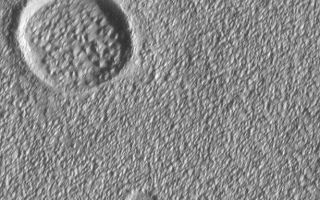 <h1>PIA02082:  Alba Patera Surface</h1><div class="PIA02082" lang="en" style="width:614px;text-align:left;margin:auto;background-color:#000;padding:10px;max-height:150px;overflow:auto;"><p>The lava flows and channels on the flanks of the Alba Patera volcano are mostly obscured by a covering of eroded, lumpy-textured material of unknown origin. This picture was taken in July 1998.</p><br /><br /><a href="http://photojournal.jpl.nasa.gov/catalog/PIA02082" onclick="window.open(this.href); return false;" title="Voir l'image 	 PIA02082:  Alba Patera Surface	  sur le site de la NASA">Voir l'image 	 PIA02082:  Alba Patera Surface	  sur le site de la NASA.</a></div>