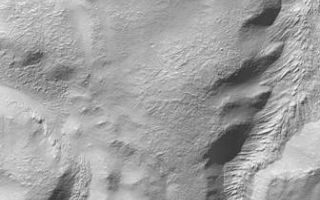 <h1>PIA02086:  Martian Mystery: Do Some Materials Flow Uphill?</h1><div class="PIA02086" lang="en" style="width:336px;text-align:left;margin:auto;background-color:#000;padding:10px;max-height:150px;overflow:auto;"><p></p><p>Some of the geological features of Mars defy conventional, or simple, explanations. A recent example is on the wall of a 72 kilometer-wide (45 mile-wide) impact crater in Promethei Terra. The crater (above left) is located at 39°S, 247°W. Its inner walls appear in low-resolution images to be deeply gullied.</p><p>A high resolution Mars Orbiter Camera (MOC) image shows that each gully on the crater's inner wall contains a tongue of material that appears to have flowed (to best see this, click on the icon—above right—and examine the full image). Ridges and grooves that converge toward the center of each gully and show a pronounced curvature are oriented in a manner that seems to suggest that material has flowed from the top toward the bottom of the picture. This pattern is not unlike pouring pancake batter into a pan... the viscous fluid will form a steep, lobate margin and spread outward across the pan. The ridges and grooves seen in the image are also more reminiscent of the movement of material out and away from a place of confinement, as opposed to the types of features seen when they flow into a more confined area. Mud and lava-flows, and even some glaciers, for the most part behave in this manner. From these observations, and based solely on the appearance, one might conclude that the features formed by moving from the top of the image towards the bottom.</p><p>But this is not the case! The material cannot have flowed from the top towards the bottom of the area seen in the high resolution image (above, right), because the crater floor (which is the lowest area in the image) is at the top of the picture. The location and correct orientation of the high resolution image is shown by a white box in the context frame on the left. Since gravity pulls the material in the gullies downhill—not uphill—the pattern of ridges and grooves found on these gully-filling materials is puzzling. An explanation may lie in the nature of the material (e.g., how viscous was the pancake batter-like material?) and how rapidly it moved, but for now this remains an unexplained martian phenomenon.</p><p>The context image (above, left) was taken by the MOC red wide angle camera at the same time that the MOC narrow angle camera obtained the high resolution view (above, right). Context images such as this provide a simple way to determine the location of each new high resolution view of the planet. Both images are illuminated from the upper left. The high resolution image covers an area 3 km (1.9 mi) across.</p><p>Malin Space Science Systems and the California Institute of Technology built the MOC using spare hardware from the Mars Observer mission. MSSS operates the camera from its facilities in San Diego, CA. The Jet Propulsion Laboratory's Mars Surveyor Operations Project operates the Mars Global Surveyor spacecraft with its industrial partner, Lockheed Martin Astronautics, from facilities in Pasadena, CA and Denver, CO.<br /><br /><a href="http://photojournal.jpl.nasa.gov/catalog/PIA02086" onclick="window.open(this.href); return false;" title="Voir l'image 	 PIA02086:  Martian Mystery: Do Some Materials Flow Uphill?	  sur le site de la NASA">Voir l'image 	 PIA02086:  Martian Mystery: Do Some Materials Flow Uphill?	  sur le site de la NASA.</a></div>