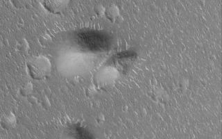 <h1>PIA02192:  Isidis Landforms</h1><div class="PIA02192" lang="en" style="width:800px;text-align:left;margin:auto;background-color:#000;padding:10px;max-height:150px;overflow:auto;"><p>18 February 2006<br />This Mars Global Surveyor (MGS) Mars Orbiter Camera (MOC) image shows a group of rounded hills surrounded by a vast, cratered plain in northeastern Isidis Planitia.</p><p>Location near: 16.8°N, 262.5°W <br />Image width: ~3 km (~1.9 mi) <br />Illumination from: lower left <br />Season: Northern Winter </p><br /><br /><a href="http://photojournal.jpl.nasa.gov/catalog/PIA02192" onclick="window.open(this.href); return false;" title="Voir l'image 	 PIA02192:  Isidis Landforms	  sur le site de la NASA">Voir l'image 	 PIA02192:  Isidis Landforms	  sur le site de la NASA.</a></div>