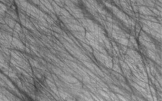 <h1>PIA02193:  Devil-Streaked Plain</h1><div class="PIA02193" lang="en" style="width:672px;text-align:left;margin:auto;background-color:#000;padding:10px;max-height:150px;overflow:auto;"><p>19 February 2006<br />This Mars Global Surveyor (MGS) Mars Orbiter Camera (MOC) image shows dark streaks on a plain south of the giant impact basin, Hellas Planitia. The streaks map the routes traveled by dozens of individual southern spring and early summer dust devils.</p><p>Location near: 68.4°S, 296.1°W <br />Image width: ~3 km (~1.9 mi) <br />Illumination from: upper left <br />Season: Southern Summer </p><br /><br /><a href="http://photojournal.jpl.nasa.gov/catalog/PIA02193" onclick="window.open(this.href); return false;" title="Voir l'image 	 PIA02193:  Devil-Streaked Plain	  sur le site de la NASA">Voir l'image 	 PIA02193:  Devil-Streaked Plain	  sur le site de la NASA.</a></div>