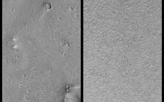 <h1>PIA02311:  Mars Polar Lander and Mars Pathfinder Sites Compared</h1><div class="PIA02311" lang="en" style="width:800px;text-align:left;margin:auto;background-color:#000;padding:10px;max-height:150px;overflow:auto;"><p>This figure shows a comparison at the same scale (about 5 meters--16 feet--per pixel) of the 1997 Mars Pathfinder landing site (left) and a representative portion within the primary landing ellipse designated for the Mars Polar Lander (right). Familiar landmarks at the Mars Pathfinder site include the "Twin Peaks" (center left), "North Peak" (top), and "Big Crater" (lower right). The south polar layered deposits are generally devoid of the large craters and hills seen at the Pathfinder site. The "wavey" texture at the Pathfinder site (the result of the movement of sediment by the large flood that swept through that location billions of years ago) is replaced at the proposed Mars Polar Lander site by a random arrangement of very low ridges and grooves that suggest the surface has been exposed to erosion by ablation of ices. When the picture on the right was taken, the surface was still mostly covered by winter-time carbon dioxide frost. However, as the sun rises higher, the carbon dioxide frost sublimes (goes directly from solid to vapor), creating the dark spots that are just barely visible in this image. Illumination is from the lower right in both pictures.</p><p>For pictures showing the location of Mars Pathfinder, <a href="http://www.msss.com/mars_images/7_3_98_mpfsite_release/index.html">Click HERE</a>.</p><p>Malin Space Science Systems and the California Institute of Technology built the MOC using spare hardware from the Mars Observer mission. MSSS operates the camera from its facilities in San Diego, CA. The Jet Propulsion Laboratory's Mars Surveyor Operations Project operates the Mars Global Surveyor spacecraft with its industrial partner, Lockheed Martin Astronautics, from facilities in Pasadena, CA and Denver, CO.<br /><br /><a href="http://photojournal.jpl.nasa.gov/catalog/PIA02311" onclick="window.open(this.href); return false;" title="Voir l'image 	 PIA02311:  Mars Polar Lander and Mars Pathfinder Sites Compared	  sur le site de la NASA">Voir l'image 	 PIA02311:  Mars Polar Lander and Mars Pathfinder Sites Compared	  sur le site de la NASA.</a></div>