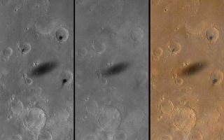 <h1>PIA02342:  MOC Views of Martian Solar Eclipses</h1><div class="PIA02342" lang="en" style="width:705px;text-align:left;margin:auto;background-color:#000;padding:10px;max-height:150px;overflow:auto;"><a href="/figures/moc2_187_fullres.gif"></a><br><br><p>The shadow of the martian moon, Phobos, has been captured in many recent wide angle camera views of the red planet obtained by the Mars Global Surveyor (MGS) Mars Orbiter Camera (MOC). Designed to monitor changes in weather and surface conditions, the wide angle cameras are also proving to be a good way to spot the frequent solar eclipses caused by the passage of Phobos between Mars and the Sun.<p>The first figure (above), shows wide angle red (left), blue (middle), and color composite (right) views of the shadow of Phobos (elliptical feature at center of each frame) as it was cast upon western Xanthe Terra on August 26, 1999, at about 2 p.m.local time on Mars. The image covers an area about 250 kilometers (155 miles) across and is illuminated from the left. The meandering Nanedi Valles is visible in the lower right corner of the scene. Note the dark spots on three crater floors--these appear dark in the red camera image (left) but are barely distinguished in the blue image (middle), while the shadow is dark in both images. The spots on the crater floors are probably small fields of dark sand dunes.<p>The second figure shows three samples of MOC's global image swaths, each in this case with a shadow of Phobos visible (arrow). The first scene (left) was taken on September 1, 1999, and shows the shadow of Phobos cast upon southern Elysium Planitia. The large crater with dark markings on its floor at the lower right corner is Herschel Basin. The second scene shows the shadow of Phobos cast upon northern Lunae Planum on September 8, 1999. Kasei Valles dominates the upper right and the deep chasms of Valles Marineris dominate the lower third of the September 8 image. The picture on the right shows the shadow of Phobos near the giant volcano, Olympus Mons (upper left), on September 25, 1999. Three other major volcanoes are visible from lower-center (Arsia Mons) and right-center (Pavonis Mons) to upper-middle-right (Ascraeus Mons).<p>Phobos and the smaller, more distant satellite, Deimos, were discovered in 1877 by Asaph Hall, an astronomer at the United States Naval Observatory in Washington, D.C. Hall had been hunting for martian satellites for some time, and was about to abandon the search when he was encouraged by his wife to continue. In honor of her role, the largest crater on Phobos was named Stickney, her maiden name. Phobos is a tiny, potato-shaped world that is only about 13 km by 11 km by 9 km (8 mi by 7 mi by 6 mi) in size.<p>In 1912 Edgar Rice Burroughs published a story entitled "Under the Moons of Mars" (printed in book form in 1917 as A Princess of Mars) in which he referred to the "hurtling moons of Barsoom" (Barsoom being the "native" word for Mars in the fictional account). Burroughs was inspired by the fact that Phobos, having an orbital period of slightly less than 8 hours, would appear from Mars to rise in the west and set in the east only five and a half hours later. (Despite Burroughs' phrase, the outer moon, Deimos, can hardly be said to "hurtle" -- it takes nearly 60 hours to cross the sky from east to west, rising on one day and not setting again for over two more.)<p>If you could stand on Mars and watch Phobos passing overhead, you would notice that this moon appears to be only about half the size of what Earth's Moon looks like when viewed from the ground. In addition, the Sun would seem to have shrunk to about 2/3 (or nearly 1/2) of its size as seen from Earth. Martian eclipses are therefore dark but not as spectacular as total solar eclipses on Earth can be. In compensation, the martian eclipses are thousands of times more common, occurring a few times a day somewhere on Mars whenever Phobos passes over the planet's sunlit side. Due to the changing geometry of the MGS orbit relative to that of Phobos, the shadow is actually seen in MOC global map images (like in the second figure above) about a dozen times a month.<p>The shadow of Phobos was seen during the Viking missions in the late 1970s, and in fact one day the shadow was observed to pass right over the Viking 1 lander. The surface of Phobos itself was first imaged by Mariner 9 in 1971, and global coverage was obtained by the Viking orbiters in 1976-80. Phobos was the target of the ill-fated Phobos 1 and Phobos 2 spacecraft, launched by the Soviet Union in 1988. Phobos 2 actually reached Mars in 1989 and obtained a few pictures of the satellite--it also captured the shadow of Phobos cast upon the martian surface using its thermal infrared imager, Termoskan. More recently, the MGS MOC observed the tiny moon four times in August and September 1998.<br /><br /><a href="http://photojournal.jpl.nasa.gov/catalog/PIA02342" onclick="window.open(this.href); return false;" title="Voir l'image 	 PIA02342:  MOC Views of Martian Solar Eclipses	  sur le site de la NASA">Voir l'image 	 PIA02342:  MOC Views of Martian Solar Eclipses	  sur le site de la NASA.</a></div>