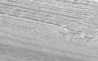 <h1>PIA02345:  Layers of the South Polar Layered Deposits</h1><div class="PIA02345" lang="en" style="width:593px;text-align:left;margin:auto;background-color:#000;padding:10px;max-height:150px;overflow:auto;"><br><br><br><br><p>On December 3, 1999, the Mars Polar Lander will touch down on the upper surface of a thick accumulation of layered material known as the "South Polar Layered Deposits." The Mars Global Surveyor (MGS) Mars Orbiter Camera (MOC) has been providing stunning new pictures of the south polar layered deposits that, in conjunction with Mars Polar Lander observations, will eventually help answer many questions about this terrain.<p>Both the north and south polar regions are blanketed by thick accumulations of layered material. This has been known since the 1971-1972 mission of Mariner 9. Based upon data from the Mariner and Viking projects in the 1970s, the polar layered deposits have long been considered to be accumulations of dust and ice. The layering is thought to indicate changes in how ice and dust accumulate at the poles over the course of millenia. Changes in climate might affect the thickness and composition of polar layers in a way that is analogous to how years of drought and years of plentiful rain change the width of rings in a tree trunk on Earth.<p>The pictures shown here provide new details of what the south polar layered deposits look like at extremely high resolution from the MGS MOC. The picture on the left is a context frame taken at the same time as the high resolution view on the right. The context image covers an area about 115 km (71 mi) across and shows a thick, smooth blanket of material covering the upper 2/3 of the frame. This thick blanket is the south polar layered deposit material. The circular features at the lower left in the context image are craters occurring outside the polar layered deposit. More craters occur underneath the polar layered deposits. The small white box indicates the location of the MOC high resolution image (right) along the edge of the polar layered deposits. The picture is illuminated from the lower right.<p>The picture on the right shows one of the clearest and highest-resolution images of south polar layered material ever obtained. Located at 73.0°S, 224.5°W, this picture covers an area approximately 550 km (340 miles) northwest of where the Mars Polar Lander will touch down in December. Illuminated from the lower right, this scene covers an area 1.5 km (0.9 mi) wide and 4.6 km (1.9 mi) long. The smallest objects that can be seen are about the sizes of automobiles. Small dark streaks in the upper right are formed from winds that have blown small patches of sediment across the surface of the layered material. Layers of only a few meters thickness are exposed along the edge of the polar layered deposits. The amount of dust versus ice in these layers is unknown. It is hoped that the Mars Polar Lander will be able to help determine--at least for the upper layers of the deposit--how much ice is present.<br /><br /><a href="http://photojournal.jpl.nasa.gov/catalog/PIA02345" onclick="window.open(this.href); return false;" title="Voir l'image 	 PIA02345:  Layers of the South Polar Layered Deposits	  sur le site de la NASA">Voir l'image 	 PIA02345:  Layers of the South Polar Layered Deposits	  sur le site de la NASA.</a></div>
