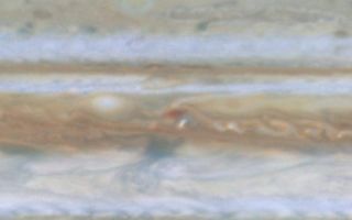 <h1>PIA02871:  Storm Merger on Jupiter</h1><div class="PIA02871" lang="en" style="width:720px;text-align:left;margin:auto;background-color:#000;padding:10px;max-height:150px;overflow:auto;"><br><a href="/figures/PIA02871.mov">Quicktime file</a> (158k)<br><a href="/figures/PIA02871.avi">Larger AVI file</a> (529k)<p>At the beginning of this movie clip, created from images taken by NASA's Cassini spacecraft, a small white spot, probably a thunderstorm, lies to the south of a larger, brown spot on Jupiter. The white spot moves counterclockwise around the brown spot and breaks up . A part of the white spot is absorbed by the brown spot.<p>Cassini is a cooperative mission of NASA, the European Space Agency and the Italian Space Agency. JPL, a division of the California Institute of Technology in Pasadena, manages Cassini for NASA's Office of Space Science, Washington, D.C.<br /><br /><a href="http://photojournal.jpl.nasa.gov/catalog/PIA02871" onclick="window.open(this.href); return false;" title="Voir l'image 	 PIA02871:  Storm Merger on Jupiter	  sur le site de la NASA">Voir l'image 	 PIA02871:  Storm Merger on Jupiter	  sur le site de la NASA.</a></div>