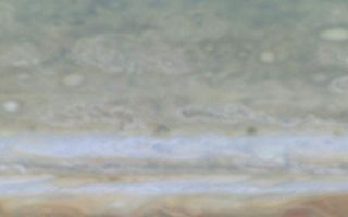 <h1>PIA02876:  Jupiter's High Latitudes</h1><div class="PIA02876" lang="en" style="width:720px;text-align:left;margin:auto;background-color:#000;padding:10px;max-height:150px;overflow:auto;"><br><a href="/figures/PIA02876.mov">Quicktime file</a> (158k)<br><a href="/figures/PIA02876.avi">Larger AVI file</a> (499k)<p>This movie clip (of which the release image is a still frame), created from images taken by NASA's Cassini spacecraft, shows a high-latitude area of Jupiter. At latitudes above 45 degrees, the banded appearance of Jupiter's clouds gives way to a more mottled appearance. T he cause of this transition is not fully understood.<p>Cassini is a cooperative mission of NASA, the European Space Agency and the Italian Space Agency. JPL, a division of the California Institute of Technology in Pasadena, manages Cassini for NASA's Office of Space Science, Washing ton, D.C.<br /><br /><a href="http://photojournal.jpl.nasa.gov/catalog/PIA02876" onclick="window.open(this.href); return false;" title="Voir l'image 	 PIA02876:  Jupiter's High Latitudes	  sur le site de la NASA">Voir l'image 	 PIA02876:  Jupiter's High Latitudes	  sur le site de la NASA.</a></div>