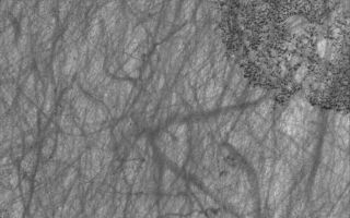 <h1>PIA02887:  Martian Graffiti</h1><div class="PIA02887" lang="en" style="width:800px;text-align:left;margin:auto;background-color:#000;padding:10px;max-height:150px;overflow:auto;"><p>9 March 2006<br />This Mars Global Surveyor (MGS) Mars Orbiter Camera (MOC) image shows a variety of textures observed on a south middle-latitude plain east-southeast of Hellas Planitia. Dark streaks left by passing dust devils are practically ubiquitous across the scene, including the transition from the texturally-smooth area (the majority of the image) onto the circular, rough feature near the right (east) edge of the image. The circular feature might once have been the site of an impact crater; perhaps this is the remains of its floor, and the rest of the crater and the rock in which it formed was removed by erosion.</p><p>Location near: 60.4°S, 242.5°W <br />Image width: ~3 km (~1.9 mi) <br />Illumination from: upper left <br />Season: Southern Summer </p><br /><br /><a href="http://photojournal.jpl.nasa.gov/catalog/PIA02887" onclick="window.open(this.href); return false;" title="Voir l'image 	 PIA02887:  Martian Graffiti	  sur le site de la NASA">Voir l'image 	 PIA02887:  Martian Graffiti	  sur le site de la NASA.</a></div>