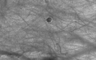 <h1>PIA02920:  Martian Streaker</h1><div class="PIA02920" lang="en" style="width:800px;text-align:left;margin:auto;background-color:#000;padding:10px;max-height:150px;overflow:auto;"><p>16 March 2006<br />This Mars Global Surveyor (MGS) Mars Orbiter Camera (MOC) image shows a dust devil producing a track among dozens of other, preexisting streaks on a dusty, south middle-latitude plain on Mars. The dust devil is located just above (north/northwest of) a small, dark-floored crater.</p><p>Location near: 58.7°S, 141.1°W <br />Image width: ~3 km (~1.9 mi) <br />Illumination from: upper left <br />Season: Southern Summer </p><br /><br /><a href="http://photojournal.jpl.nasa.gov/catalog/PIA02920" onclick="window.open(this.href); return false;" title="Voir l'image 	 PIA02920:  Martian Streaker	  sur le site de la NASA">Voir l'image 	 PIA02920:  Martian Streaker	  sur le site de la NASA.</a></div>