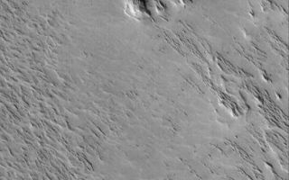 <h1>PIA03003:  Wind-Eroded Terrain</h1><div class="PIA03003" lang="en" style="width:571px;text-align:left;margin:auto;background-color:#000;padding:10px;max-height:150px;overflow:auto;"><p>17 September 2005<br />This Mars Global Surveyor (MGS) Mars Orbiter Camera (MOC) image shows a wind-eroded terrain. The ridges that cut across the scene from the lower right toward upper left (southeast to northwest) are classic yardangs, a landform created by wind erosion. These are located in the Eumenides Dorsum region of Mars.<p>Location near: 5.5°N, 159.0°W <br />Image width: width: ~3 km (~1.9 mi) <br />Illumination from: lower left <br />Season: Northern Autumn </p><br /><br /><a href="http://photojournal.jpl.nasa.gov/catalog/PIA03003" onclick="window.open(this.href); return false;" title="Voir l'image 	 PIA03003:  Wind-Eroded Terrain	  sur le site de la NASA">Voir l'image 	 PIA03003:  Wind-Eroded Terrain	  sur le site de la NASA.</a></div>