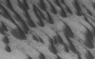 <h1>PIA03022:  Dunes in Brashear</h1><div class="PIA03022" lang="en" style="width:673px;text-align:left;margin:auto;background-color:#000;padding:10px;max-height:150px;overflow:auto;"><p>10 October 2005<br />This Mars Global Surveyor (MGS) Mars Orbiter Camera (MOC) image shows dark, windblown sand dunes on the floor of Brashear Crater in the southern hemisphere. The dominant winds responsible for these dunes blew from the southeast (lower right). Grooves on some of the dune surfaces suggest that the sand may be somewhat cemented; the grooves form by wind erosion.<p>Location near: 53.9°S, 119.6°W <br />Image width: width: ~3 km (~1.9 mi) <br />Illumination from: upper left <br />Season: Southern Spring </p><br /><br /><a href="http://photojournal.jpl.nasa.gov/catalog/PIA03022" onclick="window.open(this.href); return false;" title="Voir l'image 	 PIA03022:  Dunes in Brashear	  sur le site de la NASA">Voir l'image 	 PIA03022:  Dunes in Brashear	  sur le site de la NASA.</a></div>