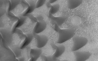 <h1>PIA03208:  "Sharks Teeth" -- Sand Dunes in Proctor Crater</h1><div class="PIA03208" lang="en" style="width:496px;text-align:left;margin:auto;background-color:#000;padding:10px;max-height:150px;overflow:auto;"><p>Sometimes, pictures received from Mars Global Surveyor's Mars Orbiter Camera (MOC) are "just plain pretty." This image, taken in early September 2000, shows a group of sand dunes at the edge of a much larger field of dark-toned dunes in Proctor Crater. Located at 47.9°S, 330.4°W, in the 170 km (106 mile) diameter crater named for 19th Century British astronomer Richard A. Proctor (1837-1888), the dunes shown here are created by winds blowing largely from the east/northeast. A plethora of smaller, brighter ripples covers the substrate between the dunes. Sunlight illuminates them from the upper left.<br /><br /><a href="http://photojournal.jpl.nasa.gov/catalog/PIA03208" onclick="window.open(this.href); return false;" title="Voir l'image 	 PIA03208:  "Sharks Teeth" -- Sand Dunes in Proctor Crater	  sur le site de la NASA">Voir l'image 	 PIA03208:  "Sharks Teeth" -- Sand Dunes in Proctor Crater	  sur le site de la NASA.</a></div>