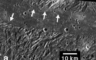 <h1>PIA03216:  Ridges and Troughs in Sippar Sulcus, Ganymede</h1><div class="PIA03216" lang="en" style="width:404px;text-align:left;margin:auto;background-color:#000;padding:10px;max-height:150px;overflow:auto;"><p>Embayment of ridges and troughs in a portion of the Sippar Sulcus area of Jupiter's moon Ganymede in this image from NASA's Galileo spacecraft is interpreted as evidence that the low-lying area was filled in by flooding with low-viscosity material, such as water or water-ice slush lavas. Bays of the material appeared to have formed in troughs (indicated by arrows) between the ridges.</p><p>The smallest features visible are about 180 meters (590 feet) across. Analysis of such high-resolution images in combination with estimates of the features' relative elevations is helping scientists interpret the roles of volcanism and tectonics in creating the bright terrain on Ganymede.</p><p>This image was prepared by the Lunar and Planetary Institute, Houston, and included in a report by Dr. Paul Schenk et al. in the March 1, 2001, edition of the journal Nature.</p><p>The Jet Propulsion Laboratory, a division of the California Institute of Technology in Pasadena, manages the Galileo mission for NASA's Office of Space Science, Washington, D.C.</p><p>Images and data received from Galileo are posted on the Galileo mission home page at <a href="http://www2.jpl.nasa.gov/galileo/">http://www2.jpl.nasa.gov/galileo/</a>. Background information and educational context for the images can be found at <a href="http://www2.jpl.nasa.gov/galileo/sepo/">http://www2.jpl.nasa.gov/galileo/sepo/</a>.<br /><br /><a href="http://photojournal.jpl.nasa.gov/catalog/PIA03216" onclick="window.open(this.href); return false;" title="Voir l'image 	 PIA03216:  Ridges and Troughs in Sippar Sulcus, Ganymede	  sur le site de la NASA">Voir l'image 	 PIA03216:  Ridges and Troughs in Sippar Sulcus, Ganymede	  sur le site de la NASA.</a></div>