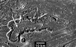 <h1>PIA03217:  Caldera in Sippar Sulcus, Ganymede</h1><div class="PIA03217" lang="en" style="width:542px;text-align:left;margin:auto;background-color:#000;padding:10px;max-height:150px;overflow:auto;"><p>An irregularly shaped caldera, or pit, within the bright swath called Sippar Sulcus on Jupiter's moon Ganymede dominates this image taken by NASA's Galileo spacecraft. The high-standing interior of the caldera is interpreted as evidence of the flow of a viscous material.</p><p>Elevation modeling indicates the height of the westernmost caldera floor material (arrow) is comparable to adjacent grooved material but decreases towards the east (right), where it is similar to nearby, lower-lying smooth terrain. The smooth terrain, generally lacking grooves or stripes, extends across the upper half of the image and crosscuts a similar but grooved band at the lower right. Analysis of such high-resolution images in combination with estimates of the features' relative elevations is helping scientists interpret the roles of volcanism and tectonics in creating the bright terrain on Ganymede.</p><p>This image was prepared by the Lunar and Planetary Institute, Houston, and included in a report by Dr. Paul Schenk et al. in the March 1, 2001, edition of the journal Nature.</p><p>The Jet Propulsion Laboratory, a division of the California Institute of Technology in Pasadena, manages the Galileo mission for NASA's Office of Space Science, Washington, D.C.</p><p>Images and data received from Galileo are posted on the Galileo mission home page at <a href="http://www2.jpl.nasa.gov/galileo/">http://www2.jpl.nasa.gov/galileo/</a>. Background information and educational context for the images can be found at <a href="http://www2.jpl.nasa.gov/galileo/sepo/">http://www2.jpl.nasa.gov/galileo/sepo/</a>.<br /><br /><a href="http://photojournal.jpl.nasa.gov/catalog/PIA03217" onclick="window.open(this.href); return false;" title="Voir l'image 	 PIA03217:  Caldera in Sippar Sulcus, Ganymede	  sur le site de la NASA">Voir l'image 	 PIA03217:  Caldera in Sippar Sulcus, Ganymede	  sur le site de la NASA.</a></div>