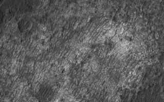 <h1>PIA03268:  Light-toned Rock</h1><div class="PIA03268" lang="en" style="width:648px;text-align:left;margin:auto;background-color:#000;padding:10px;max-height:150px;overflow:auto;"><p>1 January 2006<br />This Mars Global Surveyor (MGS) Mars Orbiter Camera (MOC) image shows a scene reminiscent of some of the Mars Exploration Rover (MER-B), Opportunity, images of terrain in the vicinity of Erebus Crater -- a substrate of light-toned rock, broken into polygonal forms, overlain by large, dark-toned, ripple-like drifts. However, this scene is many hundreds of kilometers away from Meridiani Planum -- it lies on the floor of an old impact crater near the northwest rim of the giant Hellas Basin.</p><p>Location near: 21.0°S, 312.0°W <br />Image width: ~3 km (~1.9 mi) <br />Illumination from: upper left <br />Season: Southern Summer </p><br /><br /><a href="http://photojournal.jpl.nasa.gov/catalog/PIA03268" onclick="window.open(this.href); return false;" title="Voir l'image 	 PIA03268:  Light-toned Rock	  sur le site de la NASA">Voir l'image 	 PIA03268:  Light-toned Rock	  sur le site de la NASA.</a></div>