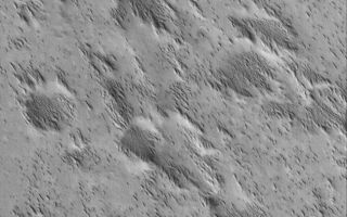 <h1>PIA03546:  Small Yardangs</h1><div class="PIA03546" lang="en" style="width:648px;text-align:left;margin:auto;background-color:#000;padding:10px;max-height:150px;overflow:auto;"><p>16 November 2005<br />This Mars Global Surveyor (MGS) Mars Orbiter Camera (MOC) image shows small yardangs formed by wind erosion of a material that once completely covered everything in this scene. These landforms are located in southern Amazonis Planitia.<p>Location near: 8.1°N, 151.6°W <br />Image width: width: ~3 km (~1.9 mi) <br />Illumination from: lower left <br />Season: Northern Autumn </p><br /><br /><a href="http://photojournal.jpl.nasa.gov/catalog/PIA03546" onclick="window.open(this.href); return false;" title="Voir l'image 	 PIA03546:  Small Yardangs	  sur le site de la NASA">Voir l'image 	 PIA03546:  Small Yardangs	  sur le site de la NASA.</a></div>