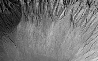 <h1>PIA03591:  Mid-latitude Gullies</h1><div class="PIA03591" lang="en" style="width:800px;text-align:left;margin:auto;background-color:#000;padding:10px;max-height:150px;overflow:auto;"><p>25 November 2005<br />This Mars Global Surveyor (MGS) Mars Orbiter Camera (MOC) image shows a suite of south mid-latitude gullies on a crater wall. Gullies such as these may have formed by runoff of liquid water.</p><p>Location near: 38.0°S, 167.2°W <br />Image width: width: ~3 km (~1.9 mi)<br />Illumination from: upper left <br />Season: Southern Summer </p><br /><br /><a href="http://photojournal.jpl.nasa.gov/catalog/PIA03591" onclick="window.open(this.href); return false;" title="Voir l'image 	 PIA03591:  Mid-latitude Gullies	  sur le site de la NASA">Voir l'image 	 PIA03591:  Mid-latitude Gullies	  sur le site de la NASA.</a></div>