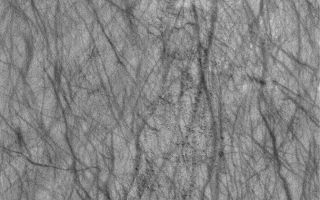 <h1>PIA03593:  Dust Devil Streaks</h1><div class="PIA03593" lang="en" style="width:672px;text-align:left;margin:auto;background-color:#000;padding:10px;max-height:150px;overflow:auto;"><p>27 November 2005<br />This Mars Global Surveyor (MGS) Mars Orbiter Camera (MOC) image shows a plethora of dark streaks created by spring and summer dust devil activity in Argyre Planitia.</p><p>Location near: 64.9°S, 8.3°W <br />Image width: width: ~3 km (~1.9 mi)<br />Illumination from: upper left <br />Season: Southern Summer </p><br /><br /><a href="http://photojournal.jpl.nasa.gov/catalog/PIA03593" onclick="window.open(this.href); return false;" title="Voir l'image 	 PIA03593:  Dust Devil Streaks	  sur le site de la NASA">Voir l'image 	 PIA03593:  Dust Devil Streaks	  sur le site de la NASA.</a></div>
