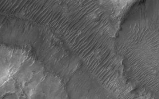 <h1>PIA03657:  Nirgal Vallis</h1><div class="PIA03657" lang="en" style="width:685px;text-align:left;margin:auto;background-color:#000;padding:10px;max-height:150px;overflow:auto;"><p>9 January 2006<br />This Mars Global Surveyor (MGS) Mars Orbiter Camera (MOC) image shows the floor and walls of a small portion of Nirgal Vallis. The floor is covered by large windblown ripples. The valley wall near the center right exhibits a group of gullies, formed perhaps by a combination of mass movement and possibly seepage and runoff of groundwater.</p><p>Location near: 28.2°S, 42.2°W <br />Image width: ~3 km (~1.9 mi) <br />Illumination from: upper left <br />Season: Southern Summer </p><br /><br /><a href="http://photojournal.jpl.nasa.gov/catalog/PIA03657" onclick="window.open(this.href); return false;" title="Voir l'image 	 PIA03657:  Nirgal Vallis	  sur le site de la NASA">Voir l'image 	 PIA03657:  Nirgal Vallis	  sur le site de la NASA.</a></div>