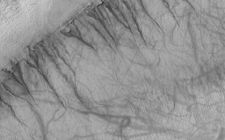 <h1>PIA03753:  Gullies and Streaks on Crater wall Kaiser</h1><div class="PIA03753" lang="en" style="width:800px;text-align:left;margin:auto;background-color:#000;padding:10px;max-height:150px;overflow:auto;">This Mars Global Surveyor (MGS) Mars Orbiter Camera (MOC) image shows gullies emergent from a specific layer in the wall of an ancient crater within a much larger crater, Kaiser. Located at 46.4°S, 341.4°W, this picture obtained in early southern summer also shows a plethora of dark, and in some places squiggly, streaks. The streaks are thought to have been formed by the passage of dust devils that removed or disrupted a thin coating of dust from the surface. Such streaks commonly form at martian middle latitudes in late spring and early summer. The gullies in the crater wall were likely eroded by a fluid, perhaps water. This picture was obtained in January 2002; it covers an area 3 km (1.9 mi) across and is illuminated from the upper left.<br /><br /><a href="http://photojournal.jpl.nasa.gov/catalog/PIA03753" onclick="window.open(this.href); return false;" title="Voir l'image 	 PIA03753:  Gullies and Streaks on Crater wall Kaiser	  sur le site de la NASA">Voir l'image 	 PIA03753:  Gullies and Streaks on Crater wall Kaiser	  sur le site de la NASA.</a></div>