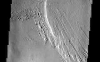 <h1>PIA03766:  Medusae Fossae Formation</h1><div class="PIA03766" lang="en" style="width:488px;text-align:left;margin:auto;background-color:#000;padding:10px;max-height:150px;overflow:auto;"><br>(Released 10 April 2002)<br><b>The Science</b><br><br>This THEMIS visible image was acquired near 7° S, 172° W (188° E) and shows a remarkable martian geologic deposit known as the Medusae Fossae Formation. This Formation, seen here as the raised plateau in the upper two-thirds of the image, is a soft, easily eroded deposit that extends for nearly 1,000 km along the equator of Mars. In this region the deposit has been heavily eroded by the wind to produce a series of linear ridges called yardangs. These parallel ridges point in direction of the prevailing winds that carved them, and demonstrate the power of martian winds to sculpt the dry landscape of Mars. The Medusae Fossae Formation has been completely stripped from the surface in the lower third of the image, revealing a harder layer below that is more resistant to wind erosion. The easily eroded nature of the Medusae Fossae Formation suggests that it is composed of weakly cemented particles, and was most likely formed by the deposition of wind-blown dust or volcanic ash. Several ancient craters that were once completely buried by this deposit are being exposed, or exhumed, as the overlying Medusae Formation is removed. Very few impact craters are visible on this Formation, indicating that the surface seen today is relatively young, and that the processes of erosion are likely to be actively occurring.<br><br><b>The Story</b><br>Medusa of Greek mythology fame, the name-giver to this region, had snaky locks of hair that could turn a person to stone. Wild and unruly, this monster of the underworld could certainly wreak havoc on the world of the human imagination. As scary as she was, Medusa would have no advantage over the fierce, masterful winds blowing across Mars, which once carved the streaky, terrain at the top of this image. Wild and whipping, these winds have slowly eroded away the "topsoil," revealing ancient craters and other surface features they once covered. The loosely cemented particles of this "topsoil" are likely made up of dust or volcanic ash, and are thus more susceptible to windblown erosion. The Martian winds have actually been strong and relentless enough over time to strip the land in the bottom of this image of the material that once covered it, leaving it hard and bare to the eye.<br /><br /><a href="http://photojournal.jpl.nasa.gov/catalog/PIA03766" onclick="window.open(this.href); return false;" title="Voir l'image 	 PIA03766:  Medusae Fossae Formation	  sur le site de la NASA">Voir l'image 	 PIA03766:  Medusae Fossae Formation	  sur le site de la NASA.</a></div>