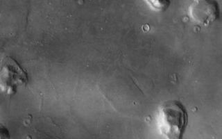 <h1>PIA03768:  The So-Called "Face on Mars"</h1><div class="PIA03768" lang="en" style="width:423px;text-align:left;margin:auto;background-color:#000;padding:10px;max-height:150px;overflow:auto;"><br>(Released 13 April 2002)<br><b>The Science</b></p><p>The so called "Face on Mars" can be seen slightly above center and to the right in this THEMIS visible image. This 3-km long knob, located near 10° N, 40° W (320° E), was first imaged by the Viking spacecraft in the 1970's and was seen by some to resemble a face carved into the rocks of Mars. Since that time the Mars Orbiter Camera on the Mars Global Surveyor spacecraft has provided detailed views of this hill that clearly show that it is a normal geologic feature with slopes and ridges carved by eons of wind and downslope motion due to gravity. A similar-size hill in Phoenix, Arizona resembles a camel lying on the ground, and Phoenicians whimsically refer to it as Camelback Mountain. Like the hills and knobs of Mars, however, Camelback Mountain was carved into its unusual shape by thousands of years of erosion. The THEMIS image provides a broad perspective of the landscape in this region, showing numerous knobs and hills that have been eroded into a remarkable array of different shapes. Many of these knobs, including the "Face," have several flat ledges partway up the hill slopes. These ledges are made of more resistant layers of rock and are the last remnants of layers that once were continuous across this entire region. Erosion has completely removed these layers in most places, leaving behind only the small isolated hills and knobs seen today.</p><p>Many of the hills and ridges in this area also show unusual deposits of material that occur preferentially on the cold, north-facing slopes. It has been suggested that these deposits were "pasted" on the slopes, with the distinct, rounded boundary on their upslope edges being the highest remaining point of this pasted-on layer. In several locations, such as in the large knob directly south of the "Face," these deposits occur at several different heights on the hill. This observation suggests the layer once draped the entire knob and has since been removed from all but the north-facing slopes. The presence of water ice in these layers is a likely possibility to account for their preservation only on the colder surfaces. Alternatively, these unique features could be the result of the slow downslope motion of the surface layer, possibly enhanced by the presence of ground ice. One argument against downslope motion is the observation that the uppermost rounded boundary of these layers typically occurs at approximately the same distance below the ridge crest. This would suggest the (seemingly) unlikely possibility that all of these layers had moved downslope the same amount regardless of where they are located. In either case, ground ice likely plays an important role in the formation and preservation of these deposits because they only occur on the cold slopes facing away from the Sun where ground ice is more stable and may still be present today.</p><p><b>The Story</b><br>Nature is an imaginative artist, creating all kinds of wonderful landforms, cloud shapes, and other patterned features that remind people of familiar things in our lives. We see a "man in the moon" when it is full in the night sky, and dream of a dromedary-dotted desert when coming upon Arizona's Camelback Mountain or Colorado's "Kissing Camels" in the "Garden of the Gods." Near Ludlow, California, a lonely prospector once noticed that the appealing outline of the mountains resembled a reclining woman, and named the place Sleeping Beauty. And this naming delight isn't limited to Earth. The Mars Pathfinder mission team couldn't help but name the rocks at the landing site, including a bear-headed-looking one named Yogi.</p><p>Part of the fun of exploration is not just visiting a strange world, but relating to it in human terms. On Mars, we've already seen a valentine heart-shaped crater, a happy-faced crater, and even a murky and mysterious "face" on Mars. This face (seen here about halfway down the image and to the right) is really just a hill with slopes and ridges that are shadowed in a way that can sometimes resemble a face from far away. The first picture of this area was taken by the Viking spacecraft in the 1970s, and people have been intrigued ever since. However, orbiter camera technologies have actually become so good in providing a clear view of the hill that it's almost a disappointment to see how normal an eroded hill this well-liked feature is. Well, disappointing unless you're a geologist, that is!</p><p>This whole area is, in fact, a geologist's dream. Erosion has been Nature's sculptor throughout the area, and all kinds of remarkably shaped knobs and hills speckle the region. While their shapes are fun to contemplate, it's no mystery to geologists how they formed. Several flat ledges part way up the slopes of these hills are made of layers of rock that stand strong against erosion's relentless carving. Less resistant layers in the region have eroded away completely in most places, leaving behind only the small, isolated hills and knobs we see today. Don?t think everything in this scene is easily understandable, however. What captures the attention of scientists is a bunch of unusual deposits of material on the cold, north-facing slopes of the hills. Did Nature mix some Martian dirt and ice from the planet's "pallet," and then "paste" on a slightly cemented deposit over the northern slopes? Or did an upper layer of material slowly creep downslope over time, carried by the movement of ice? Ground ice, in this case, has probably been more of a preserver than an eroder, keeping a record of the formation and existence of these deposits over time. Geologists are grateful for that peek into the Martian past and the chance to study it in-depth.<br /><br /><a href="http://photojournal.jpl.nasa.gov/catalog/PIA03768" onclick="window.open(this.href); return false;" title="Voir l'image 	 PIA03768:  The So-Called "Face on Mars"	  sur le site de la NASA">Voir l'image 	 PIA03768:  The So-Called "Face on Mars"	  sur le site de la NASA.</a></div>