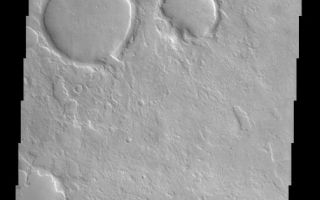 <h1>PIA03782:  Knobby terrain in Northern Arabia Terra</h1><div class="PIA03782" lang="en" style="width:503px;text-align:left;margin:auto;background-color:#000;padding:10px;max-height:150px;overflow:auto;"><br>(Released 25 April 2002)<br><b>The Science</b><br>This THEMIS visible image shows a region in northern Arabia Terra near 44° N, 322° W (38° E). Knobby or "scabby" plains units that mantle and modify a pre-existing cratered surface dominate the unusual landscape in this region. Several large (5-8 km diameter) impact craters seen in the upper left of the image have been extensively modified since their initial formation. The rims of these craters can still be seen, but the ejecta deposits and the surrounding plains have been buried by a layer of material. This mantling layer has itself been modified to produce a pitted, knobby surface. Circular depressions of all sizes, presumably the remnants of impact craters, are filled with smooth deposits. In some places large regions have been covered by this smooth material; an example can be seen in the lower right portion of this image. In many cases the impact craters have been extensively modified prior to their being filled. This modification indicates an erosion process that has removed material from the walls to produce shapes that vary from circular with crisp rims, to circular with no rims, to oblong and elliptical forms, and finally to irregular shapes whose initial circular outline can barely be detected. The slope of the channel at the top of the image has an unusual deposit of material that occurs preferentially on the cold, north-facing slope. Similar deposits are seen frequently at mid-northern and southern latitudes on Mars, and have a characteristic, rounded boundary that typically occurs at approximately the same distance below the ridge crest. It has been suggested that these deposits once draped the entire surface and have since been removed from all but the cold north-facing slopes. The presence and removal of ground ice may play an important role in the formation of this layer, as well as the knobby terrain and unusual features seen in this image.<br><br><b>The Story</b>There's no way these impact craters are in their original, pristine shape. Check out their strange deformities and register the geological gross-out factor of all the "scabs" upon the land. You can still see the rims of craters in this savaged land, but an aggressive layer of material once spread out across it, burying the ejected material and all the surrounding plains. This cloaking layer didn't win the battle of dominance, however, as it too has been battered over time, producing the pitted, knobby surface seen today.<br><br>Only a few smooth deposits in the area are spared from the scabby, scarred look of the long barraged (see lower right portion of the image). Circular depressions, the probable remains of impact craters, are filled with this smooth material. Some were already well eroded prior to being filled, with material removed from their walls used to sculpt the varying shapes.<br><br>The dark, shadowed channel at the top of this image has an unusual deposit of material on its cold, north-facing slope. Since this material is found elsewhere on Mars, at approximately the same distance below the ridge crest, could it have draped the entire surface of Mars long ago? Why has it been lost from all but the northern slopes? Could ice in the ground play a role in forming and preserving this layer? And did it craft the knobby terrain and other strange features in this area?<br><br>These are the kinds of questions geologists are asking. As this image proves, the more you discover, the more questions you have. That's what keeps exploration so exciting.<br /><br /><a href="http://photojournal.jpl.nasa.gov/catalog/PIA03782" onclick="window.open(this.href); return false;" title="Voir l'image 	 PIA03782:  Knobby terrain in Northern Arabia Terra	  sur le site de la NASA">Voir l'image 	 PIA03782:  Knobby terrain in Northern Arabia Terra	  sur le site de la NASA.</a></div>