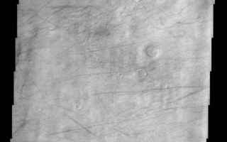 <h1>PIA03791:  Dust Devil Tracks</h1><div class="PIA03791" lang="en" style="width:450px;text-align:left;margin:auto;background-color:#000;padding:10px;max-height:150px;overflow:auto;"><br>(Released 8 May 2002)<br><b>The Science</b><br>This image, centered near 50.0 S and 17.7 W displays dust devil tracks on the surface. Most of the lighter portions of the image likely have a thin veneer of dust settled on the surface. As a dust devil passes over the surface, it acts as a vacuum and picks up the dust, leaving the darker substrate exposed. In this image there is a general trend of many of the tracks running from east to west or west to east, indicating the general wind direction. There is often no general trend present in dust devil tracks seen in other images. The track patterns are quite ephemeral and can completely change or even disappear over the course of a few months. Dust devils are one of the mechanisms that Mars uses to constantly pump dust into the ubiquitously dusty atmosphere. This atmospheric dust is one of the main driving forces of the present Martian climate.<br><br><b>The Story</b><br>Vrrrrooooooooom. Think of a tornado, the cartoon Tasmanian devil, or any number of vacuum commercials that powerfully suck up swirls of dust and dirt. That's pretty much what it's like on the surface of Mars a lot of the time. Whirlpools of wind called<br /><br /><a href="http://photojournal.jpl.nasa.gov/catalog/PIA03791" onclick="window.open(this.href); return false;" title="Voir l'image 	 PIA03791:  Dust Devil Tracks	  sur le site de la NASA">Voir l'image 	 PIA03791:  Dust Devil Tracks	  sur le site de la NASA.</a></div>